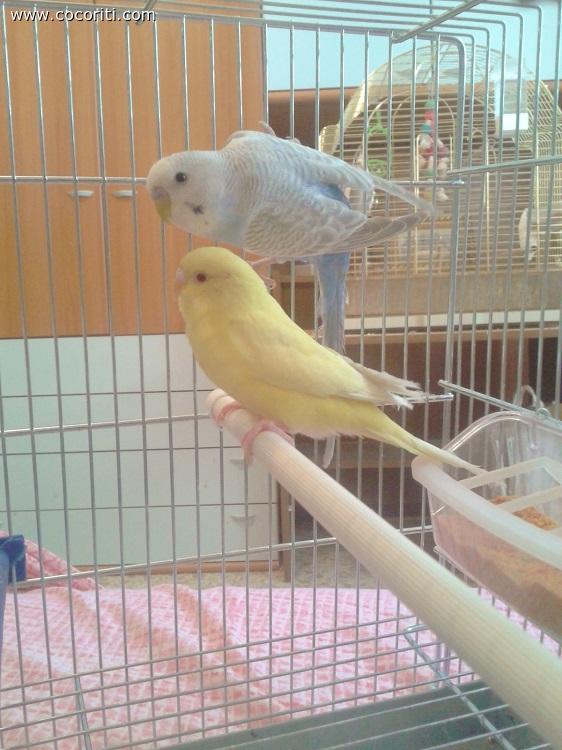 Spugna & Trilly